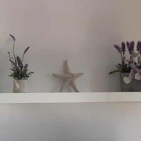 Daire Krk Peter Lindpointner