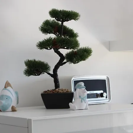 Krk Peter Lindpointner * קרק